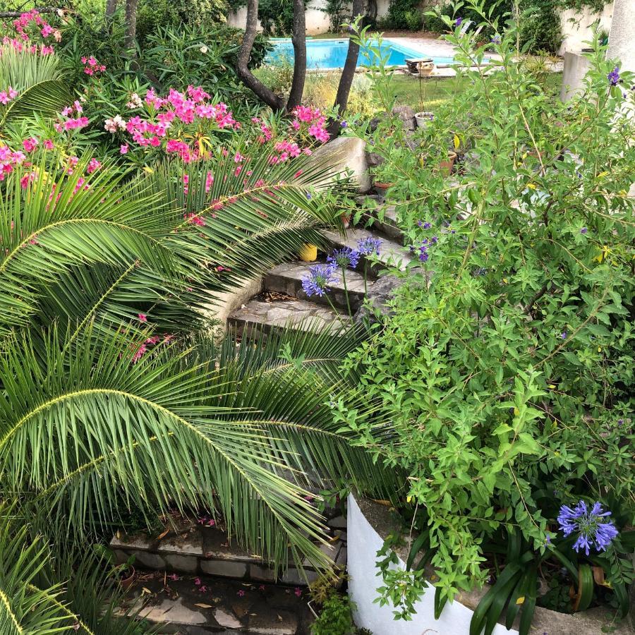 L'Appartement - Jardin Secret Marsiglia Esterno foto