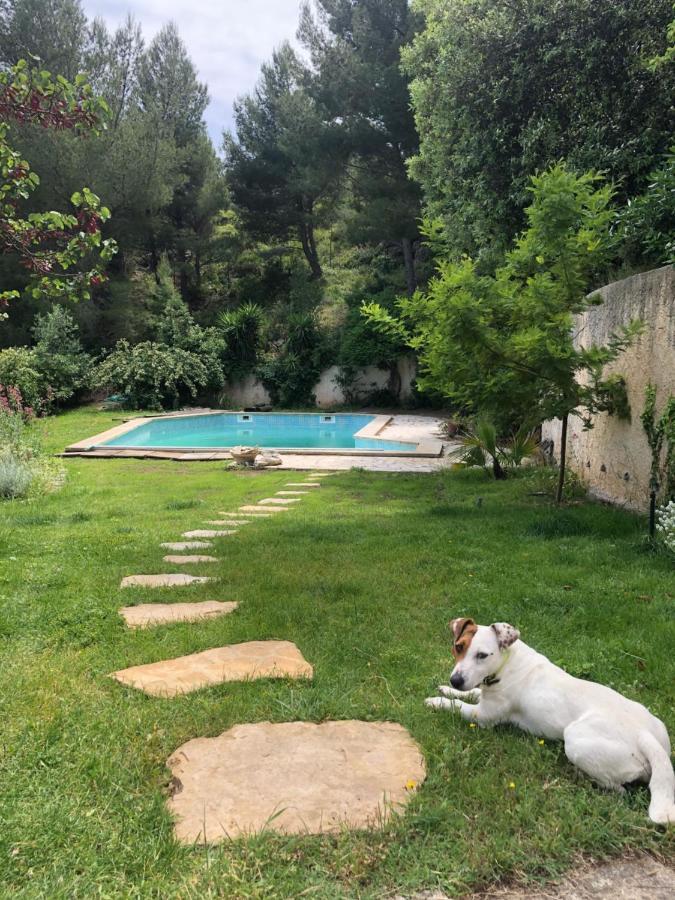 L'Appartement - Jardin Secret Marsiglia Esterno foto