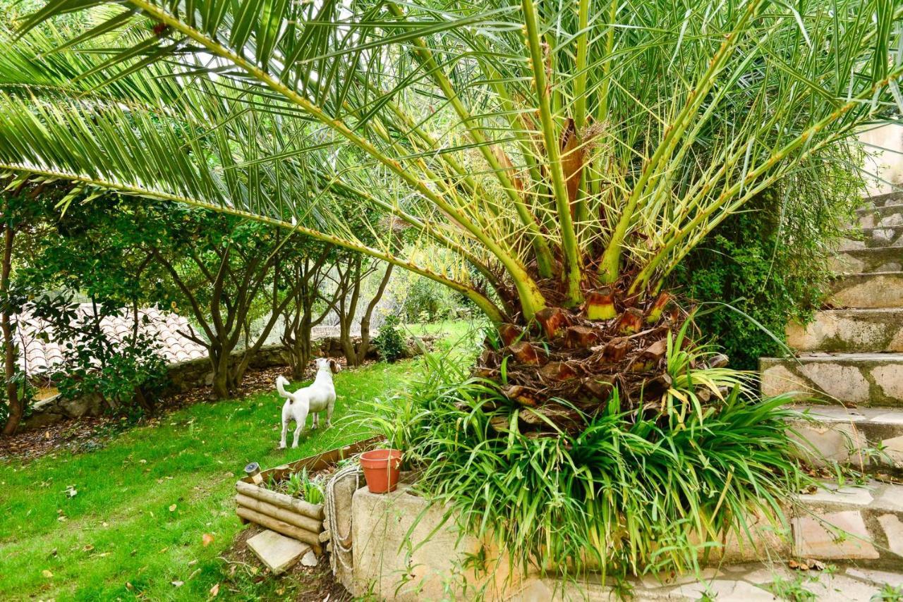 L'Appartement - Jardin Secret Marsiglia Esterno foto